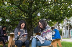 mujeres leyendo bajo los árboles