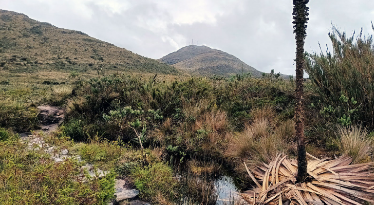 Foto de los páramos de Bogotá - Suministrada por el proyecto.