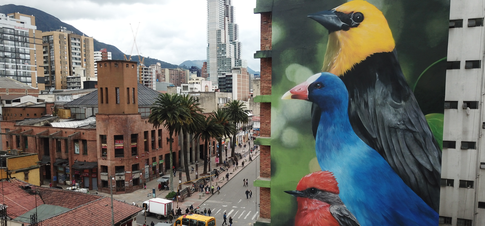 Edición pasada de la Beca Ciudad de Bogotá de Arte Urbano