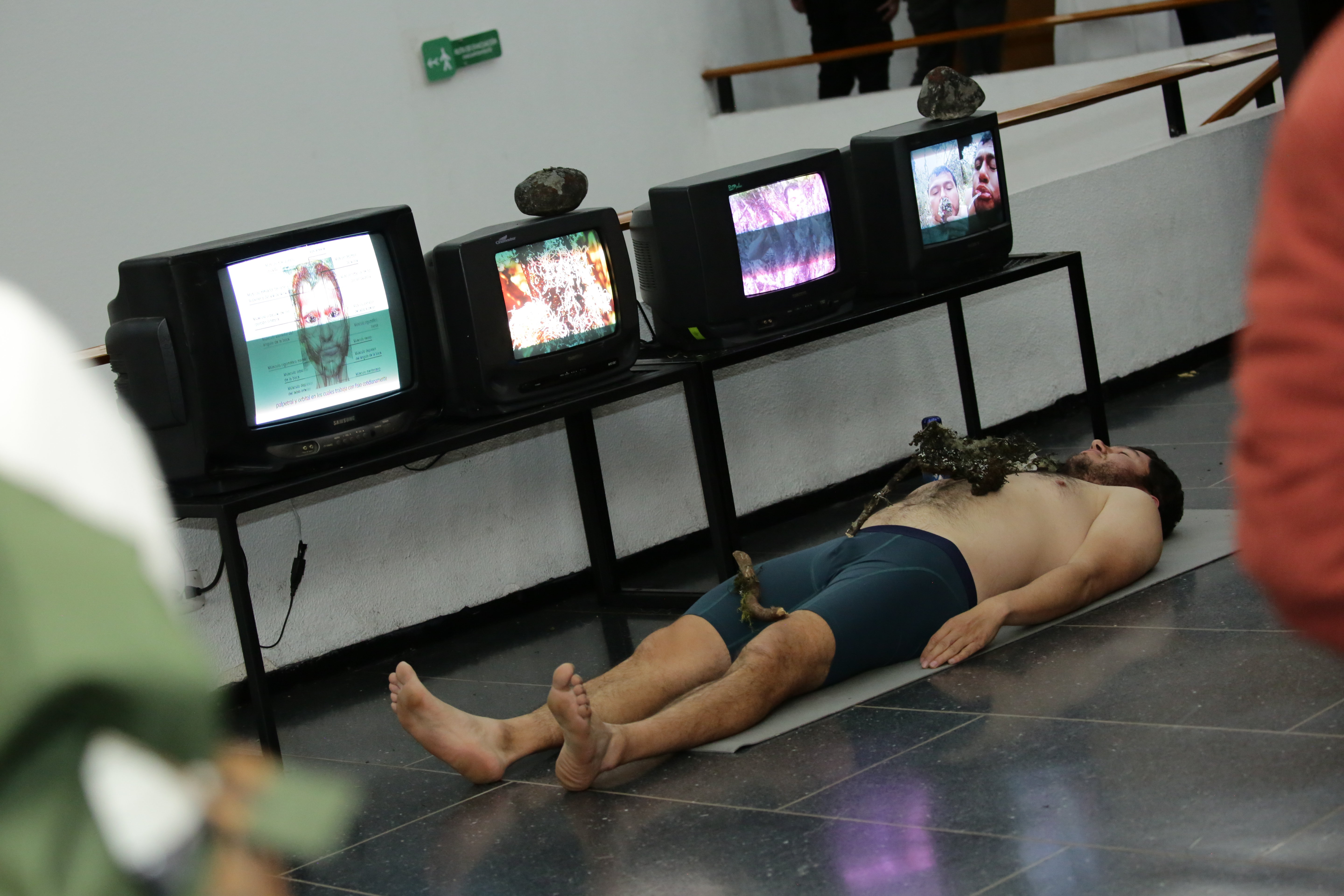 Performance de Jose Ricardo Delgado que propone una simbiosis mutualista entre holobiontes.