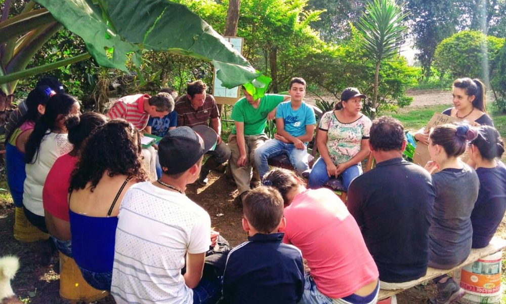 Actividad población rural