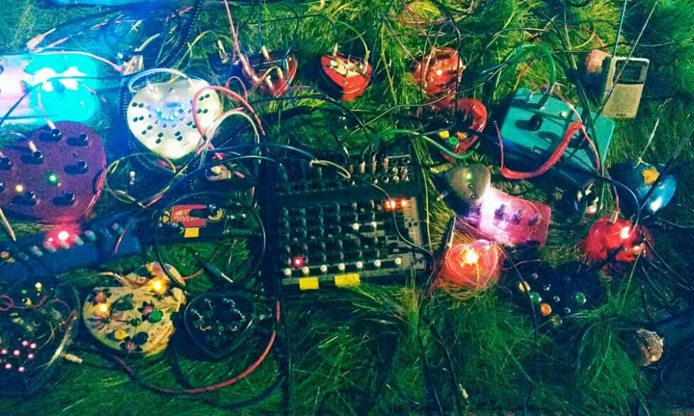 Foto: Corazpon de Robota Instrumentos electrónicos sobre cesped