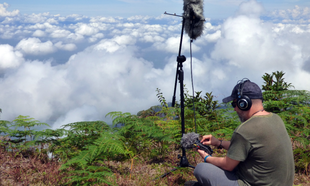 Hombre con instrumentos sonoros en una montaña