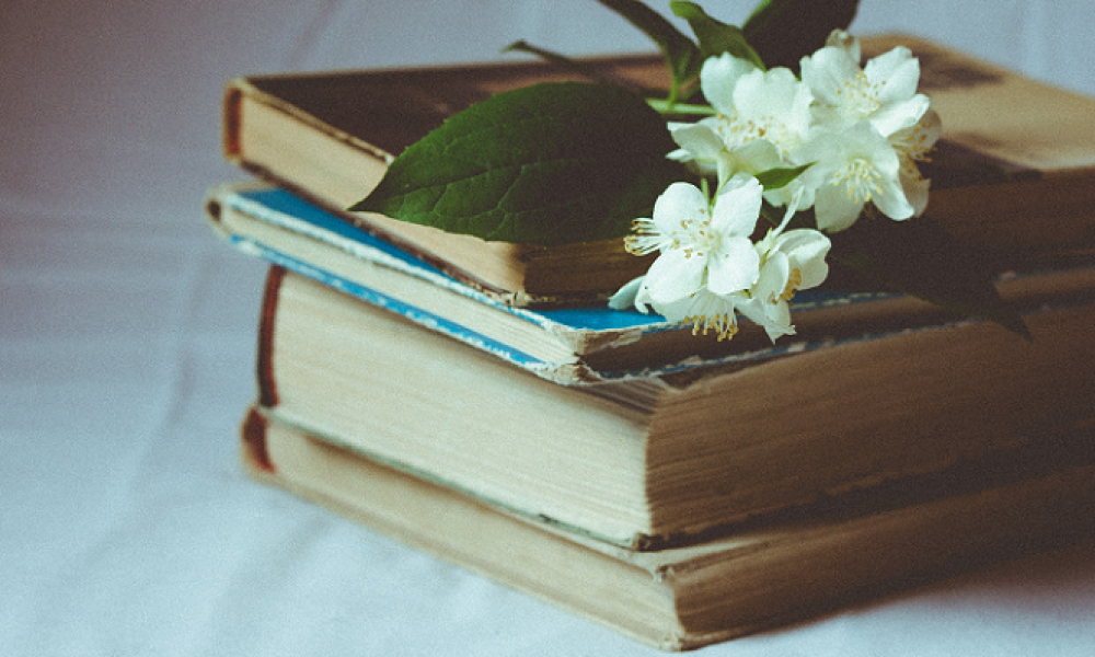 De cuando una pandemia llegó a Macondo Libros viejos con flores
