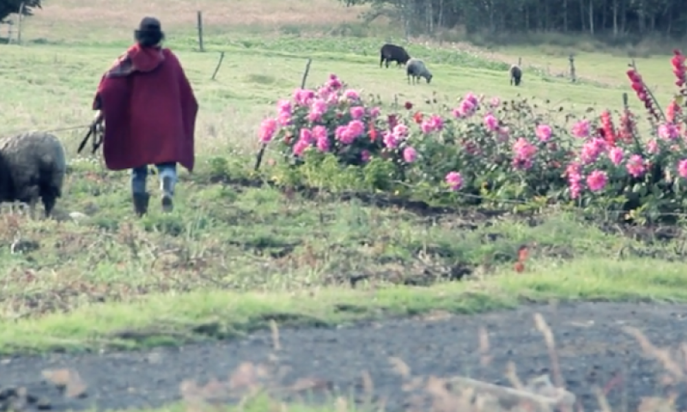 Fotograma cine Mujer en el campo