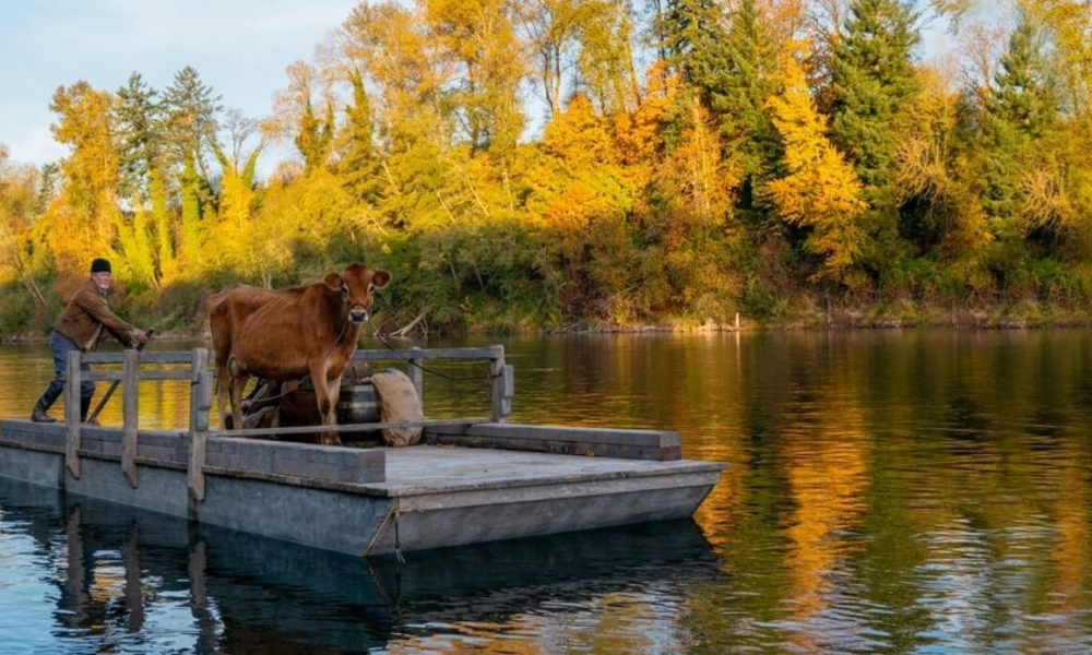 hombre en una balsa con una vaca