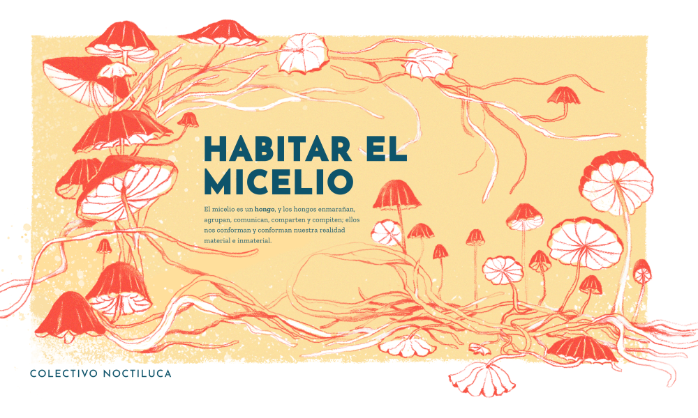 Habitar el micielo