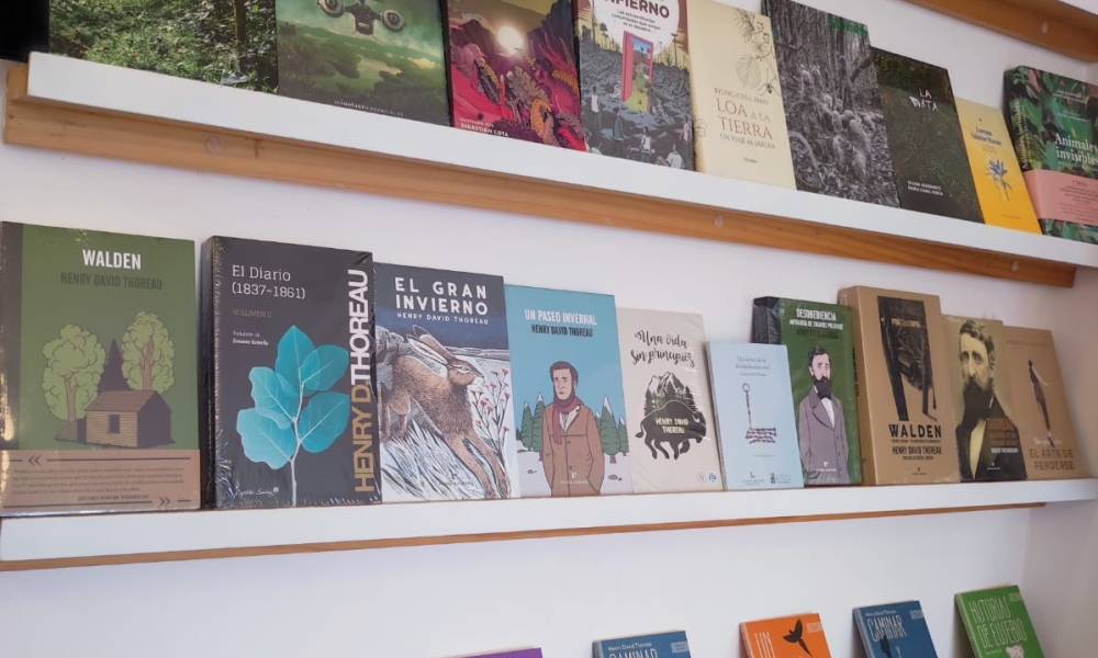 Colección de Libro al Viento