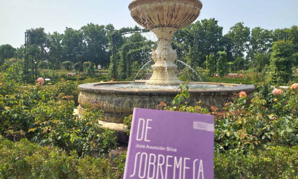 Libro al Viento en Madrid