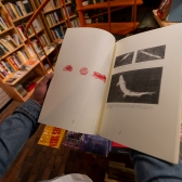 Pequeños Conciertos en Librerías - Lucio Feuillet en Matorral Librería. Foto: Mathew Valbuena / Idartes.