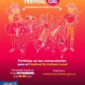 Festival Es Cultura Local