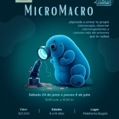 Taller – MicroMacro