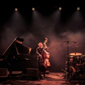 Avishai Cohen Trio, uno de los eventos de navidad. Créditos: Shamrockraver