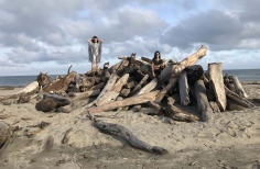 Personas en playa con madera