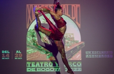 Bailarina realizando una acrobacia colgada de una cuerda en presentación de noche.