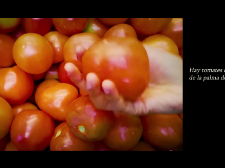 Mano sosteniendo un tomate