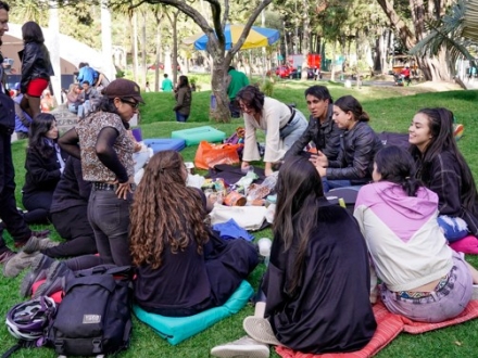 Archivo Picnic literario