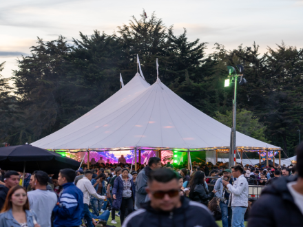 Carpa de Baile y Movimiento – Estar Bien en Navidad