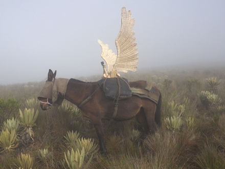 De la mula al avión