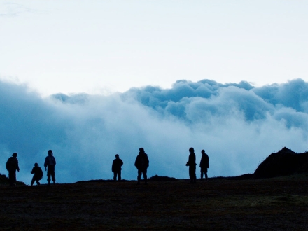 Foto de la película colombiana Monos