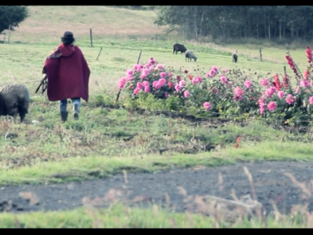 Fotograma cine Mujer en el campo