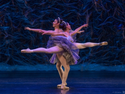 Obra Piedras preciosas - V Encuentro de Ballet en Bogotá.