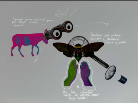 Membrana 5 - Dispositivos para develar. La Mesa Transversal de Investigación en 2021 