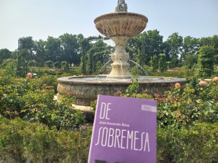 Libro al Viento en Madrid