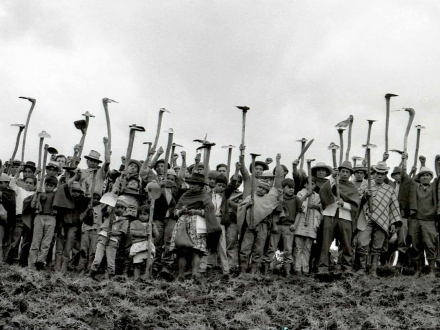 Película Campesinos