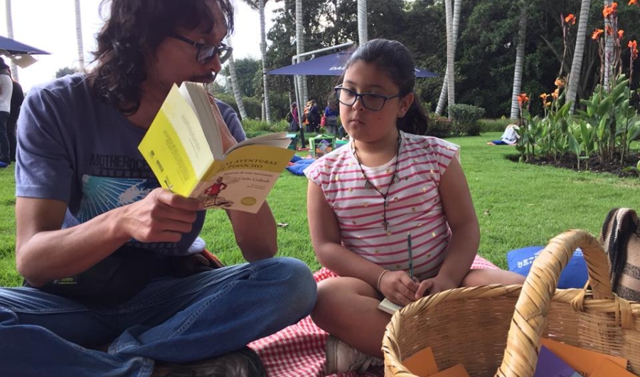 Mujer y nola con libro en un parque