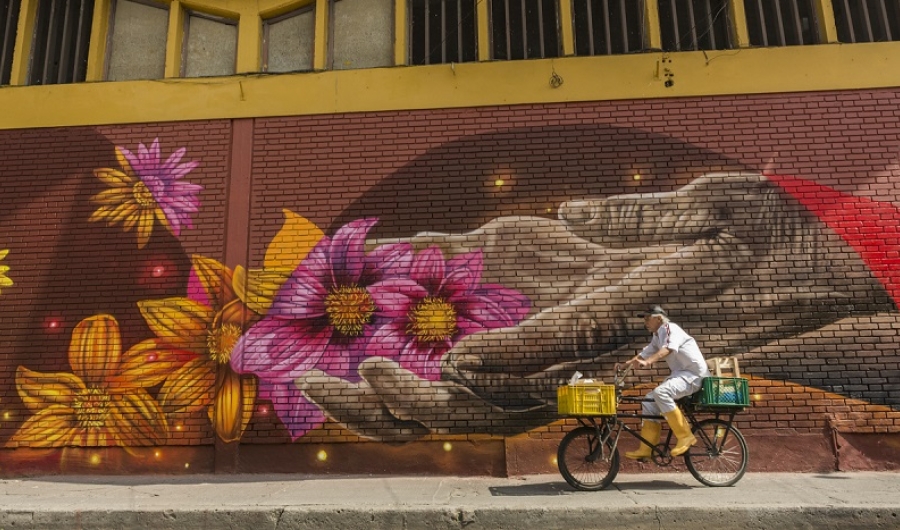 Grafiti de flores y un hombre en bicicleta