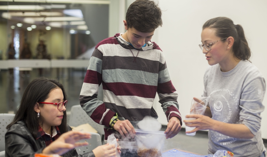 Jóvenes participando en una actividad de aprendizaje