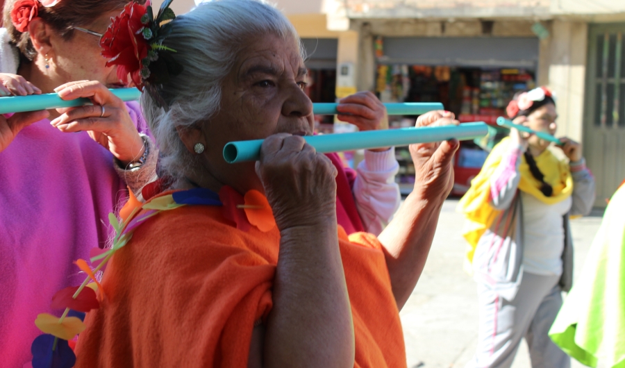 Mujer mayor con instrumento