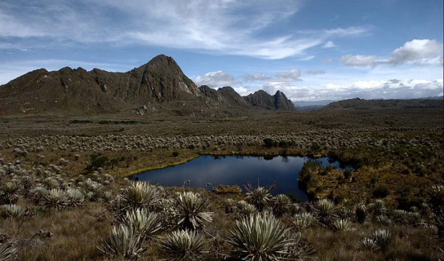 Paramo de Sumapaz - Wikimedia Commons.