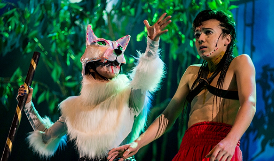 Amazonas, El libro de la selva