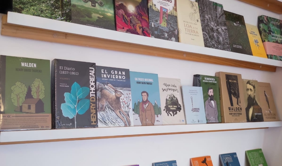 Libros en estantería