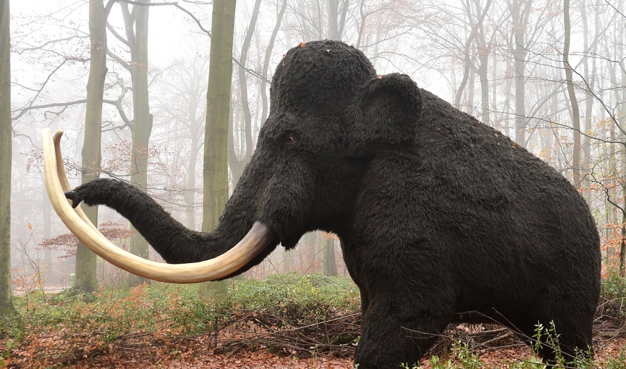 Mamut en un bosque. 