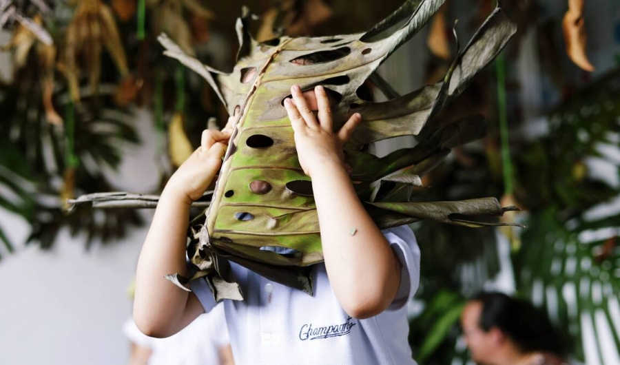 niño con hoja de árbol gigante en la cara