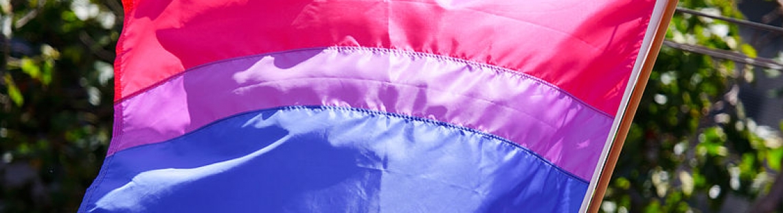 Bandera bisexual tonos azul y violeta- Fotografía Wikimedia Commons - Peter Salanki, de San Francisco.