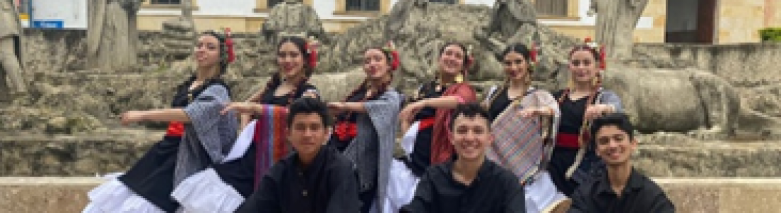 Agrupación peruana de danza