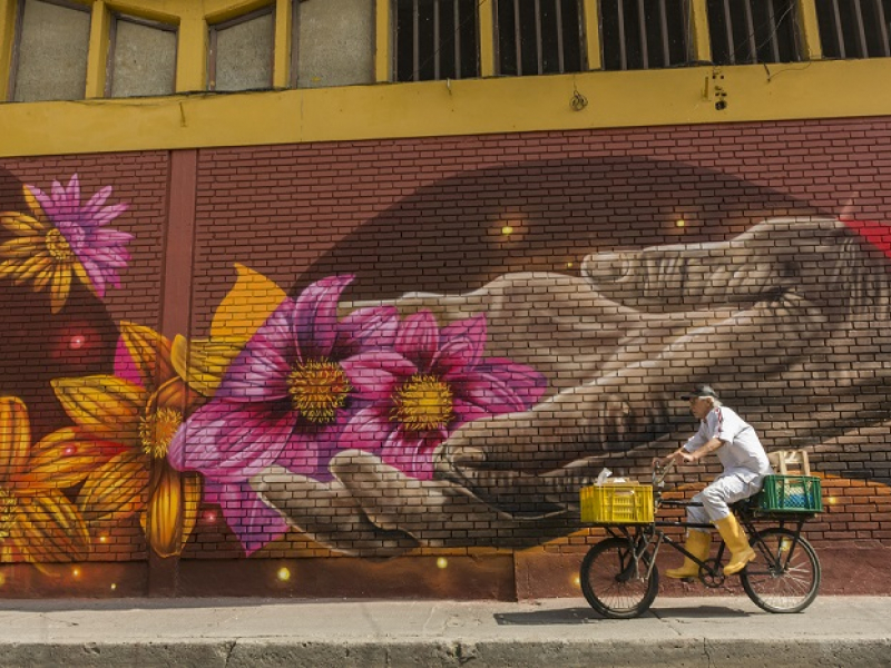 Grafiti de flores y un hombre en bicicleta