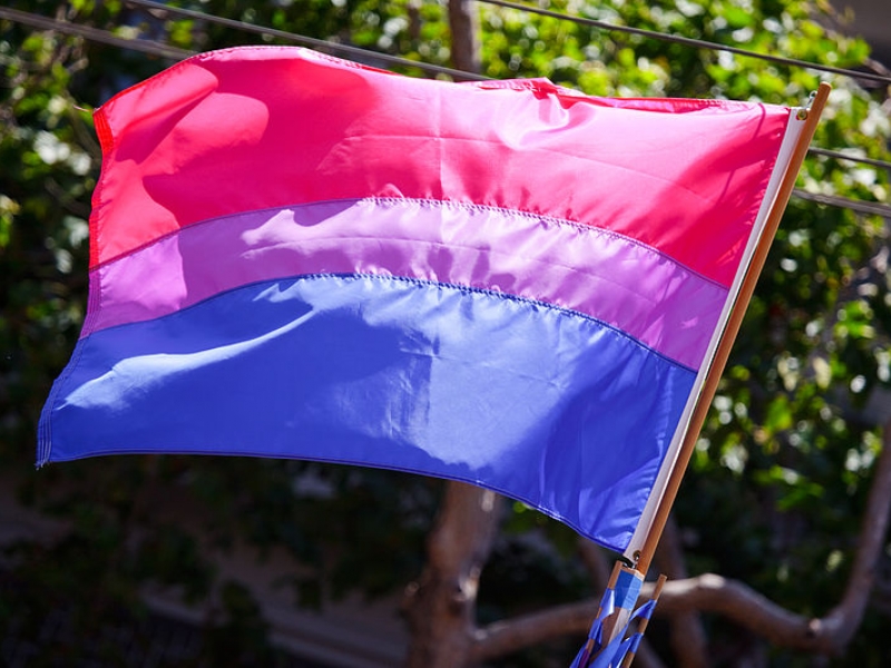 Bandera bisexual - Fotografía Wikimedia Commons - Peter Salanki, de San Francisco