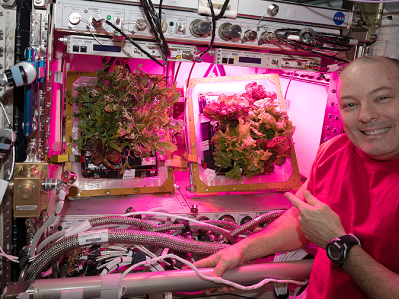 Cultivos en el espacio 
