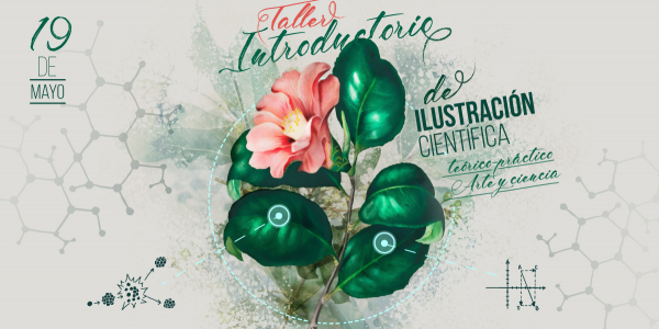 Poster del taller con flor y hojas verdes.