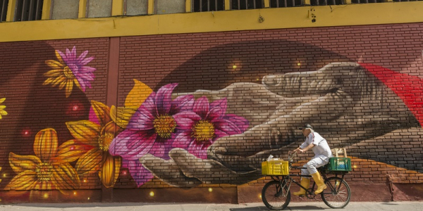 Grafiti de flores y un hombre en bicicleta
