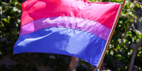 Bandera bisexual - Fotografía Wikimedia Commons - Peter Salanki, de San Francisco