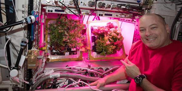 Cultivos en el espacio 