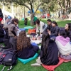 Archivo Picnic literario